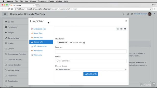 003 Introduction section